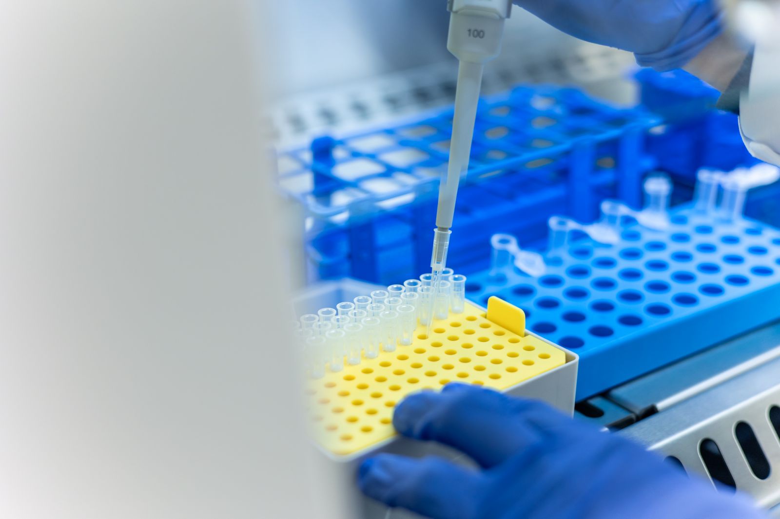 ΜΟΡΙΑΚΕΣ ΕΞΕΤΑΣΕΙΣ (PCR)